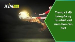 Trang cá độ bóng đá uy tín nhất việt nam bạn cần biết