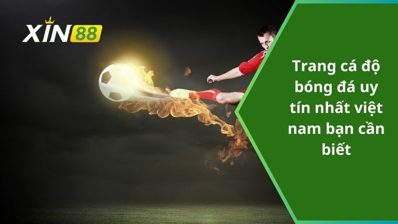 Trang cá độ bóng đá uy tín nhất việt nam bạn cần biết